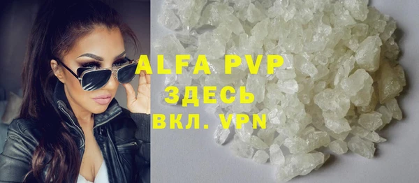 амф Щигры