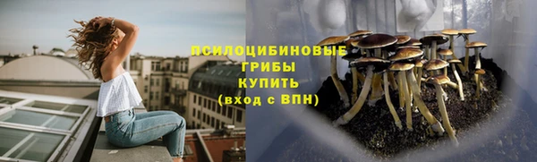 MDMA Козловка