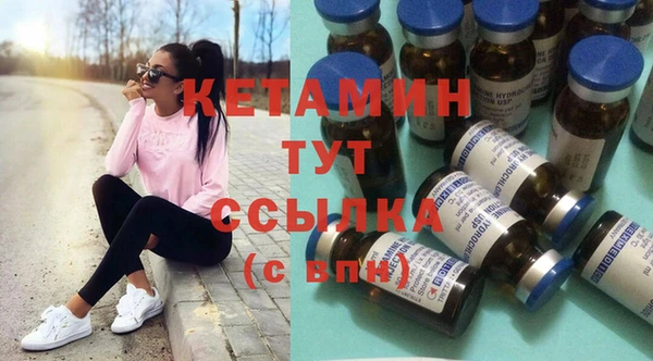 стафф Корсаков