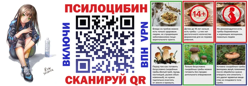 Псилоцибиновые грибы Magic Shrooms  Таганрог 