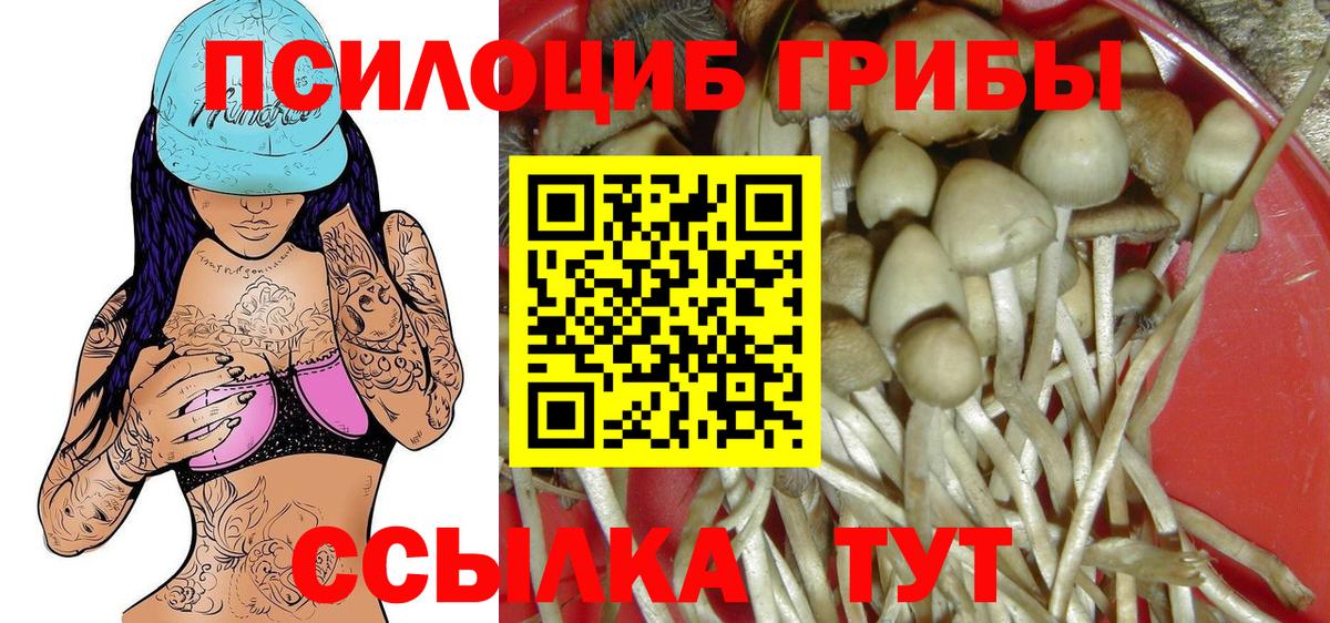 Марихуана  Вход с VPN  Таганрог  КОКАИН  ГАШИШ  МЕФ кристаллы  Бошки Шишки 