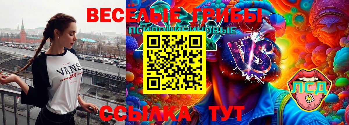 Галлюциногенные грибы мицелий Таганрог