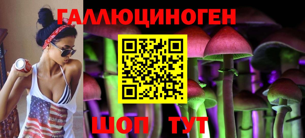 Галлюциногенные грибы Psilocybe  Таганрог  где можно купить наркотик  Псилоцибиновые грибы Magic Shrooms 